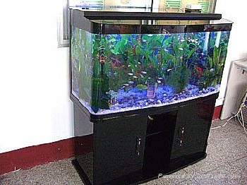 家居用品系列 - 壓克力魚缸02